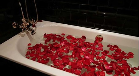 Pétalas de Rosas Artificiais - Embalagem com 100 petalas. - Imagem 7